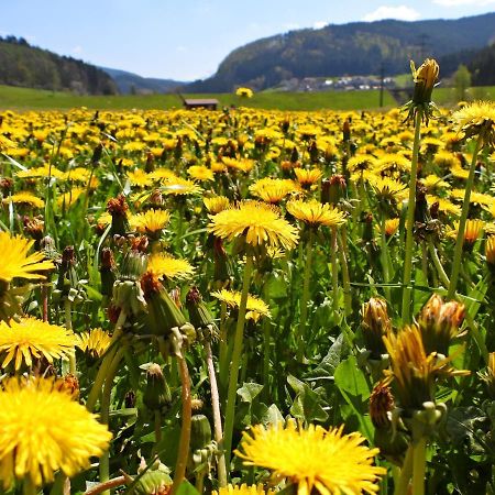 Feriendomizil Bergamini Lägenhet Bischoffingen Exteriör bild