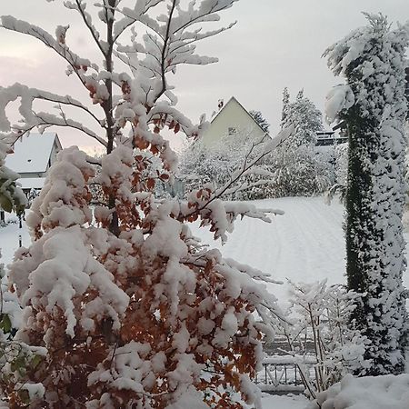 Feriendomizil Bergamini Lägenhet Bischoffingen Exteriör bild