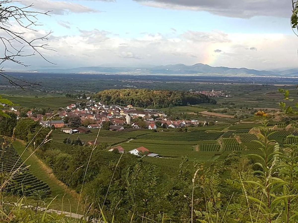 Feriendomizil Bergamini Lägenhet Bischoffingen Exteriör bild